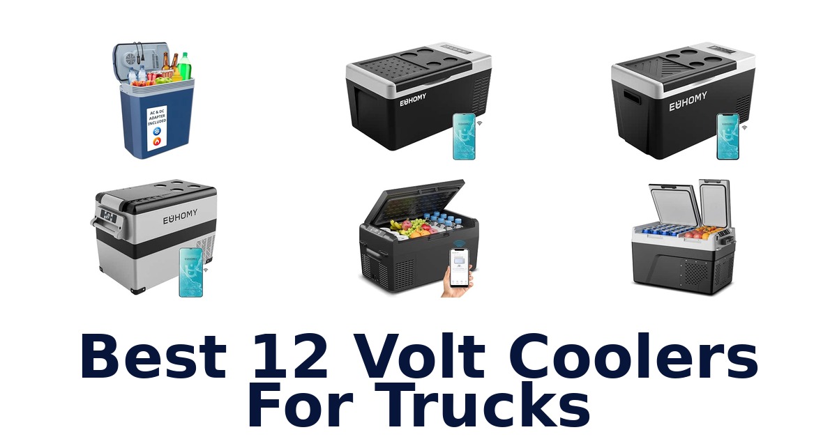 Best 12 Volt Coolers For Trucks