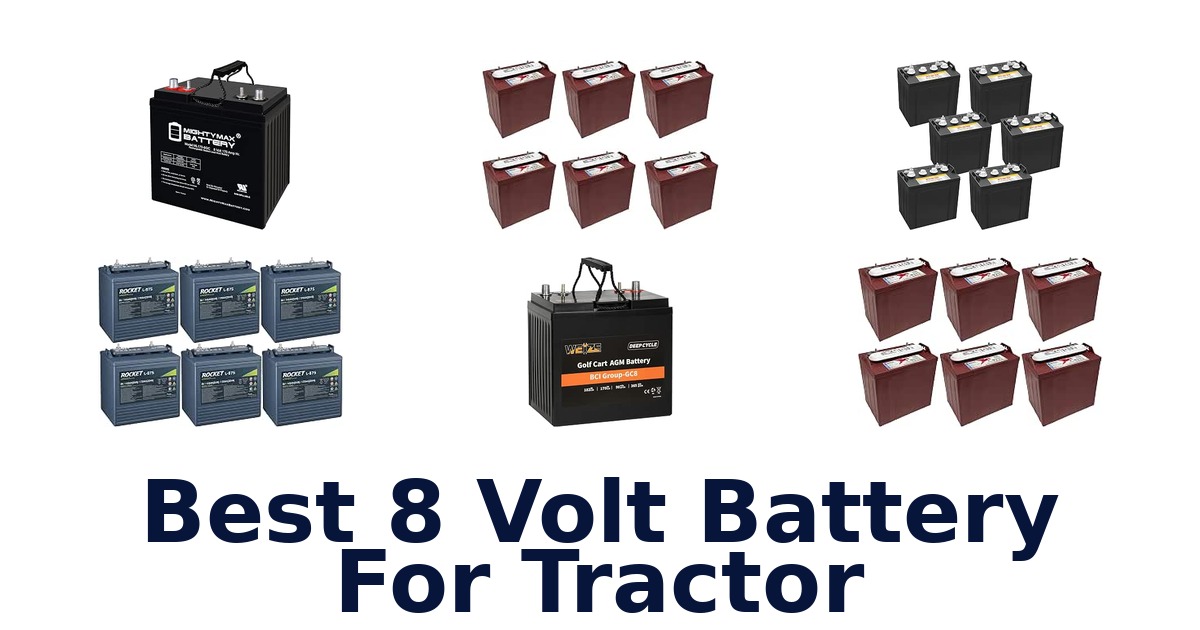 Best 8 Volt Battery For Tractor