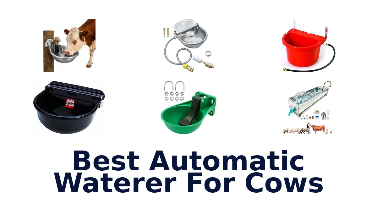 Best Automatic Waterer For Cows