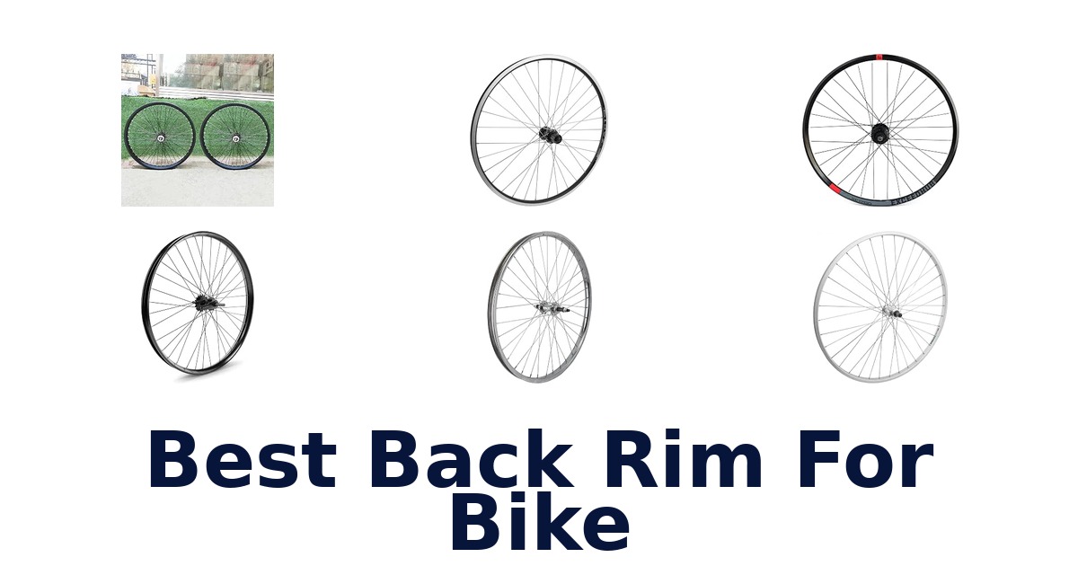 Best Back Rim For Bike