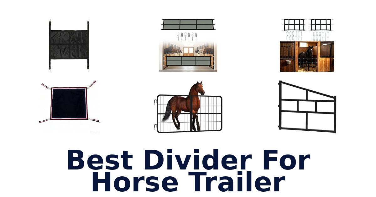 Best Divider For Horse Trailer