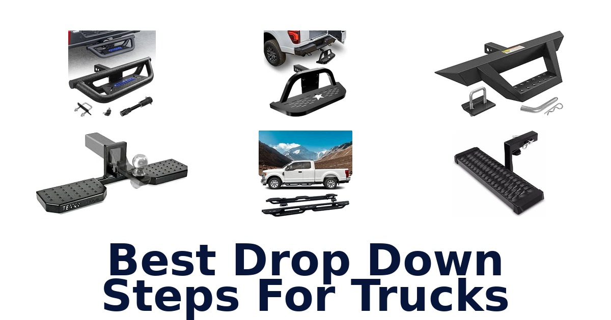 Best Drop Down Steps For Trucks