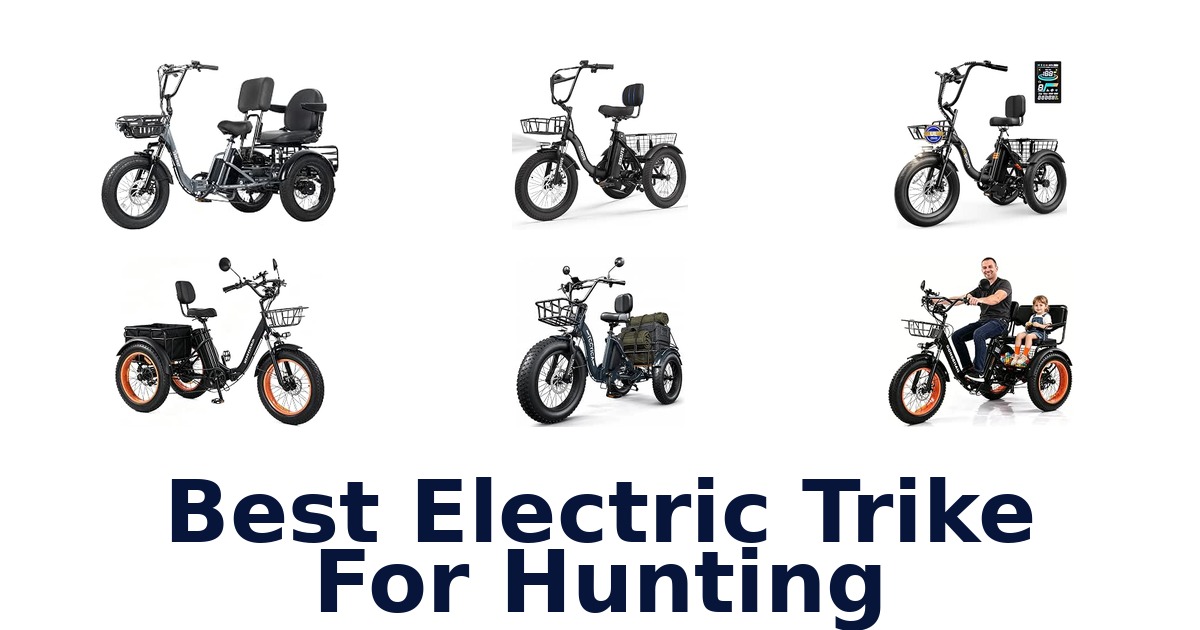 Best Electric Trike For Hunting