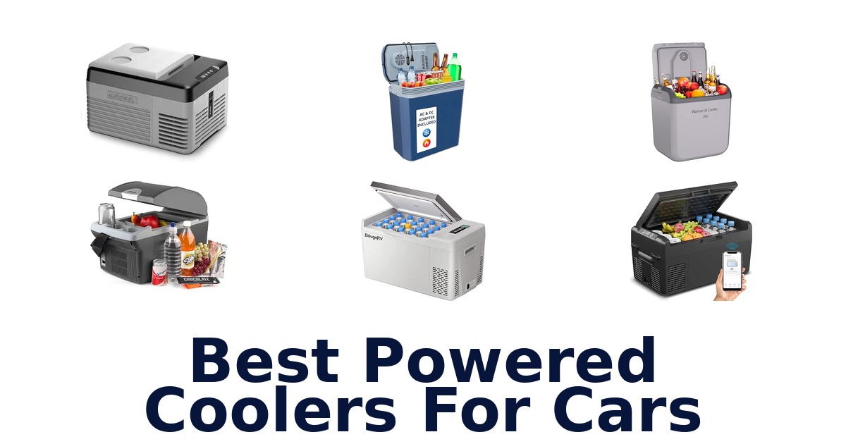 Best Powered Coolers For Cars