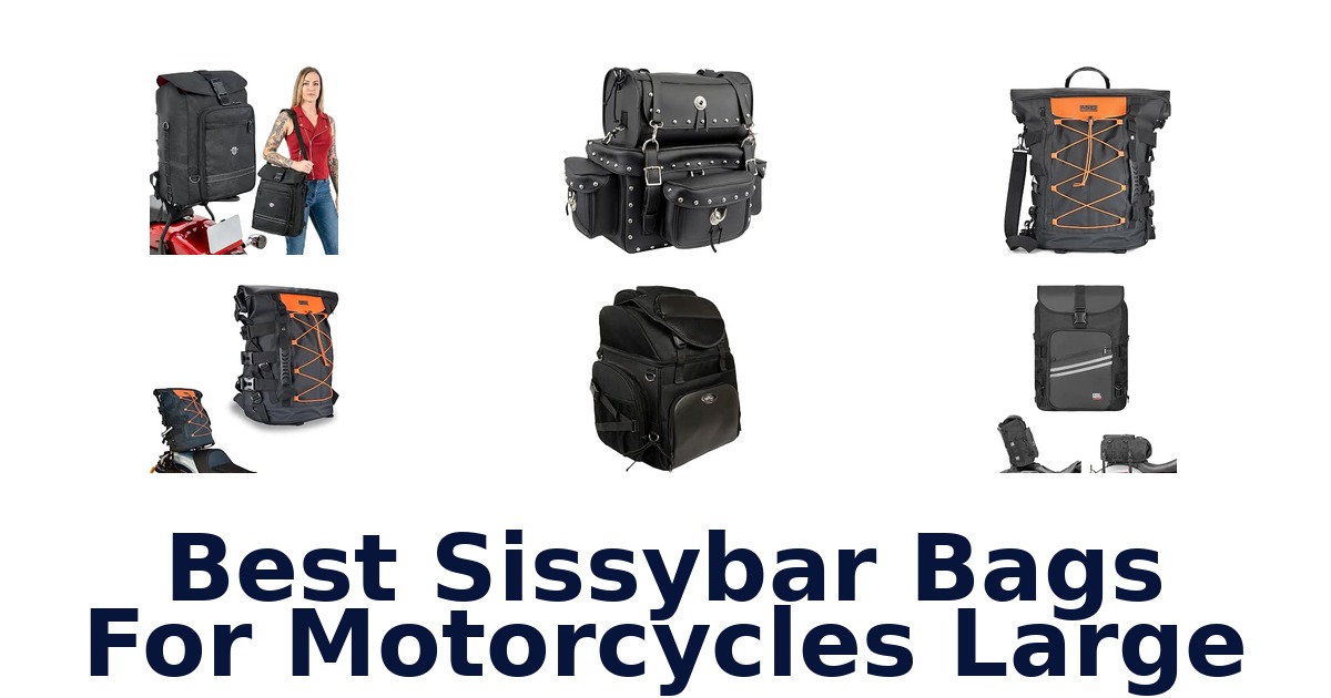Best Sissybar Bags For Motorcycles Large