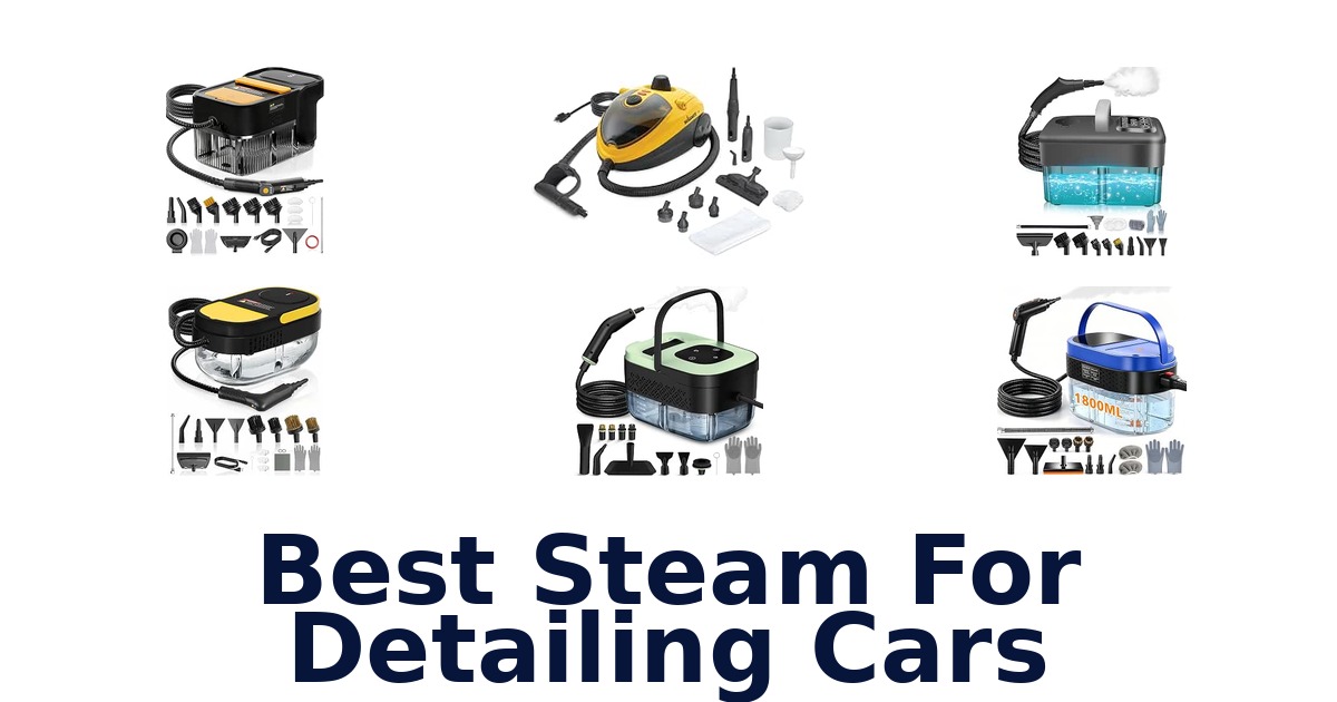 Best Steam For Detailing Cars
